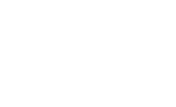 Portales de Campollano